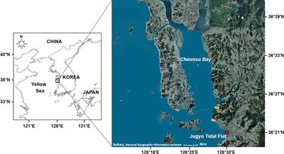 Effects of larval trematode parasitism on the reproductive capacity of Manila clam Ruditapes philippinarum in a sandy-mud tidal flat on the west coast of Korea